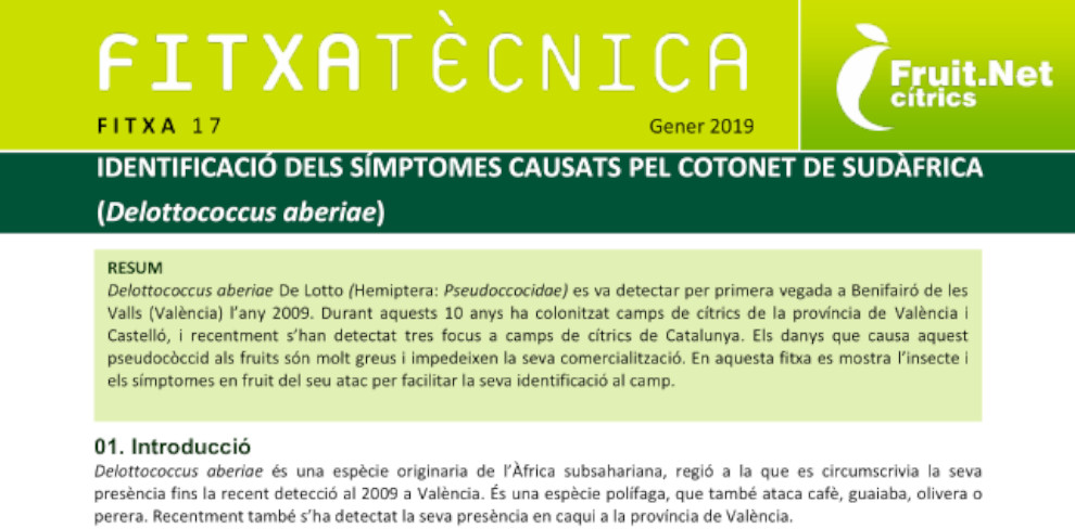 FT nº01: Control de Ceroplastes sinensis en cítrics amb fitofortificants i productes fitosanitaris autoritzats