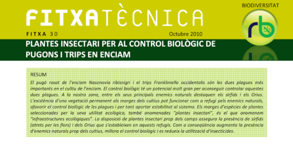 FT nº77: Pràctiques agronòmiques preventives per reduir les infestacions inicials d’herbes en el blat de moro (Zeamays)