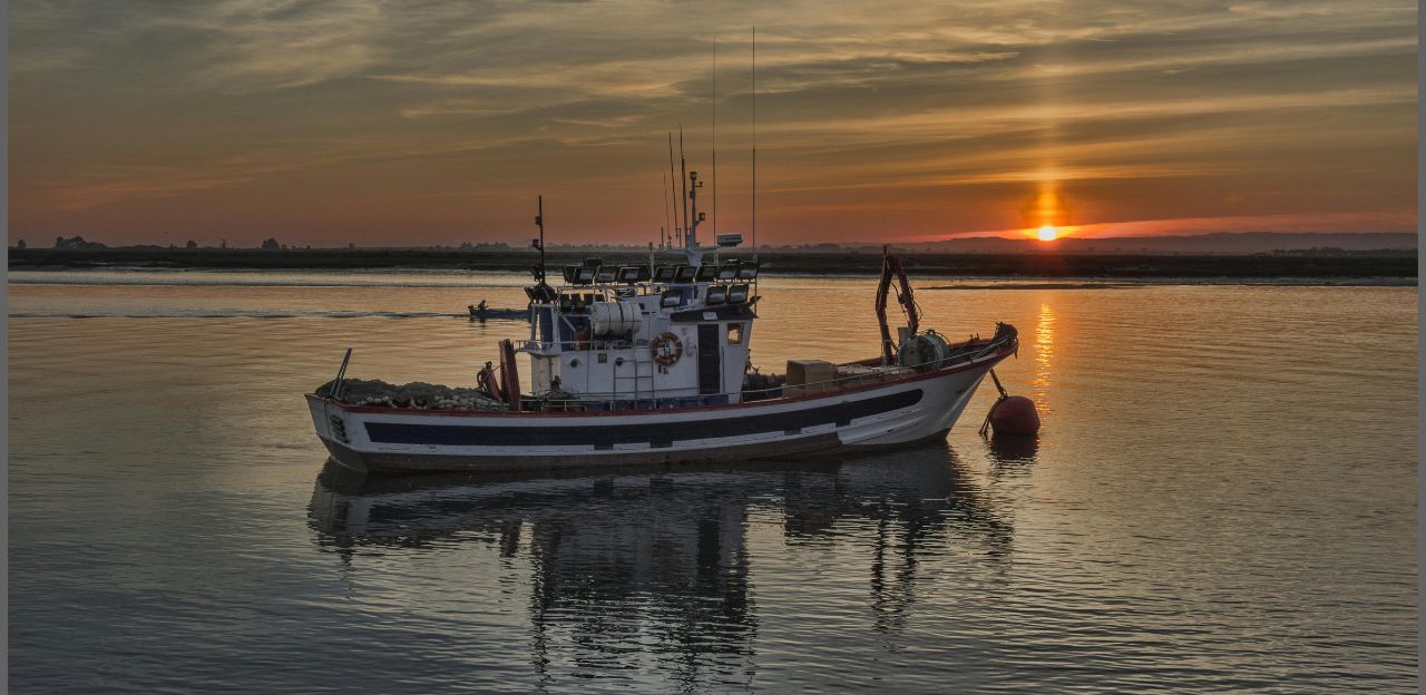 El conseller Ordeig presentant la campanya de suport al sector pesquer.
			
			
				espot i tota la pesca