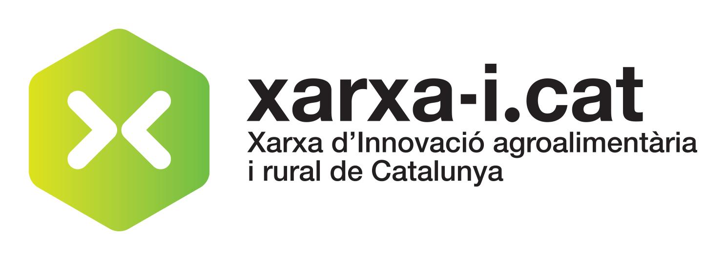 Logo Xarxa i-cat