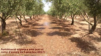 Fertilització orgànica amb purí al camp d'assaig de Camarles (2017)