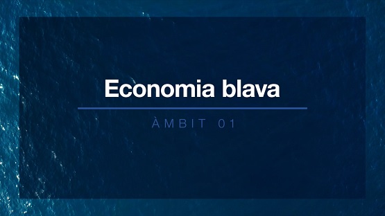 Àmbit 1 Economia blava