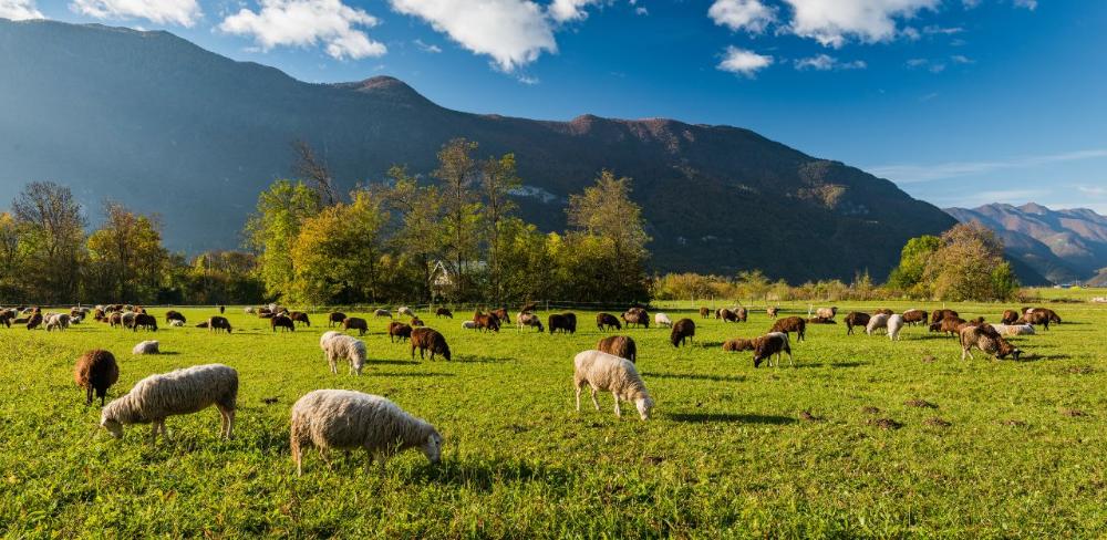 Les subvencions s’han aprovat en el marc del Programa estratègic de la Política agrària comuna 2023-2027.
			
			
				prevencio incendis