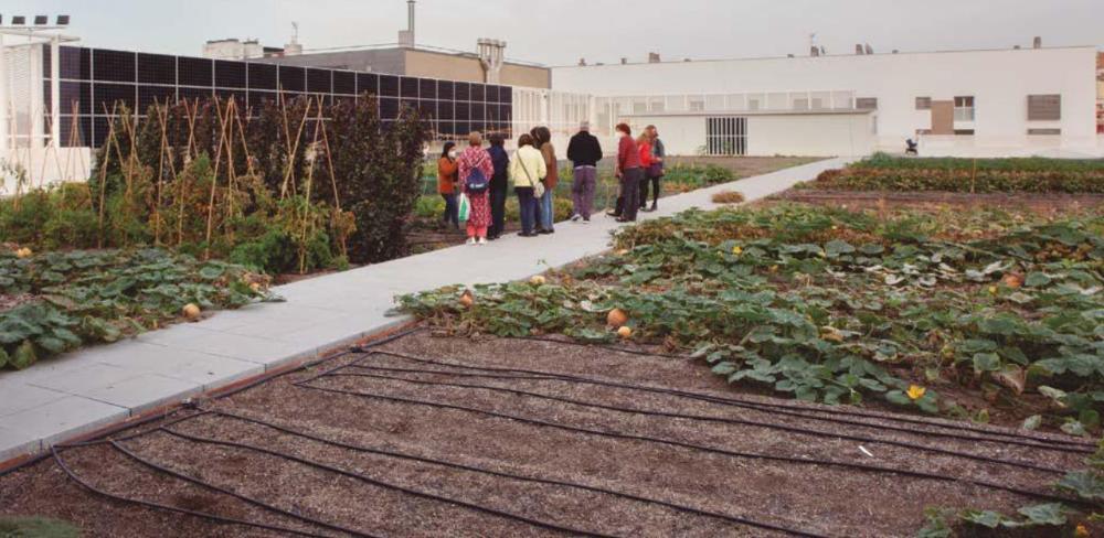 Coberta del mercat de la Vall d'Hebron: Foto Tarpuna.
			
			
				hort