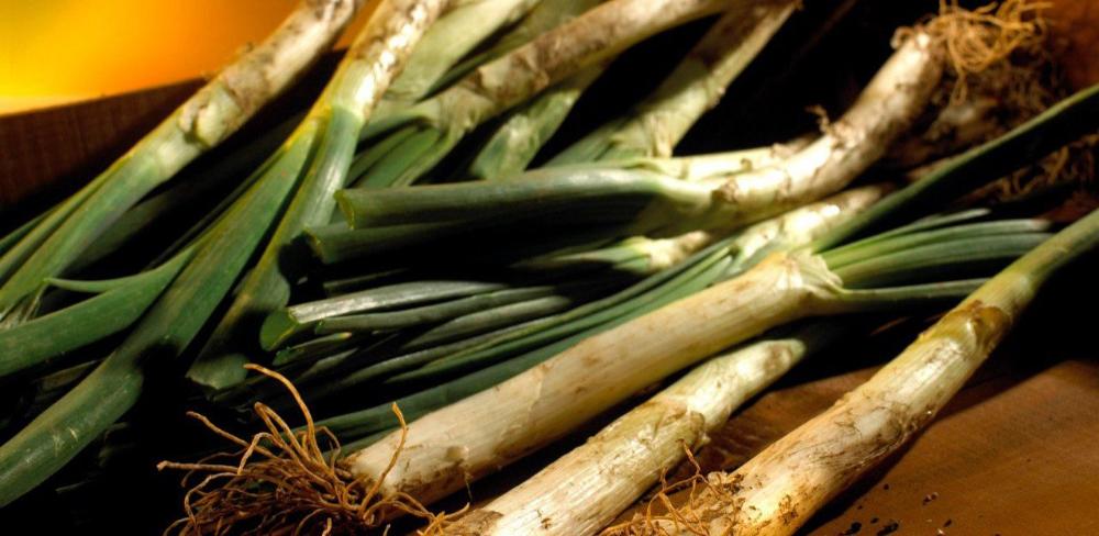 El mes de gener és l’inici de la temporada de calçotades amb salsa de calçot que té com a ingredients bàsics l’ametlla o l’avellana
			
			
				REGIO GASTRONOMIA